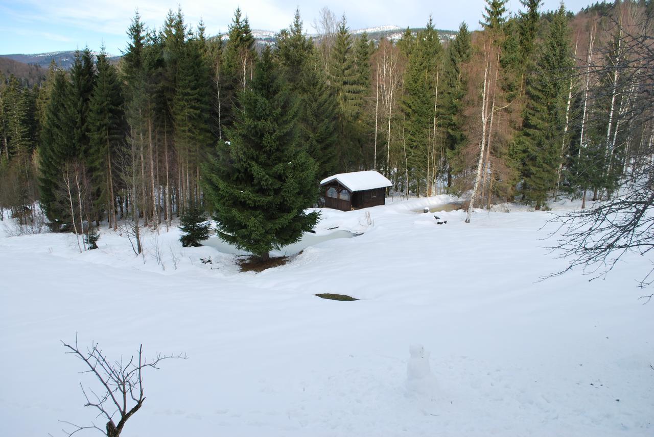 Ferienhaus "Lisa'S Haeusl" Нойшёнау Экстерьер фото